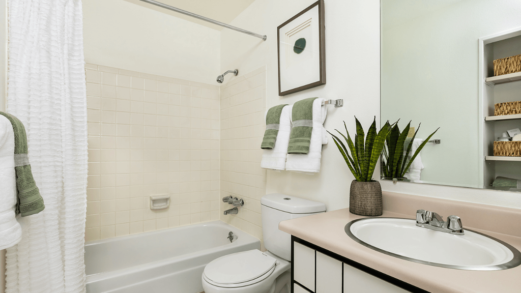 a bathroom with a sink and a toilet and a bath tub