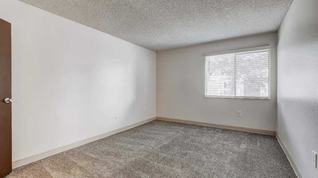 an empty room with a window and a carpeted floor