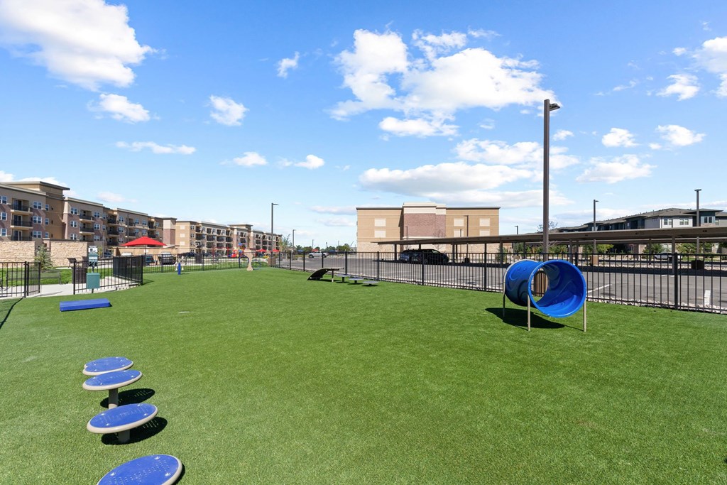 a dog park with agility equipment and buildings in the background