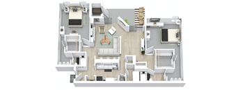 Lady Palm - Renovated