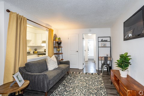 A living room with a grey couch and a patterned rug.