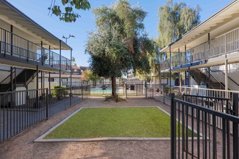 A courtyard with a tree and a fence.