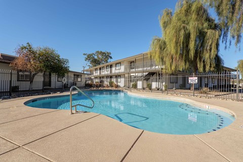 A swimming pool surrounded by a fence and trees.