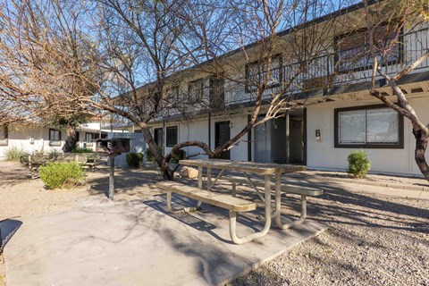 A concrete patio with a picnic table and a tree in front of a building.