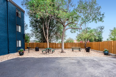 A tree in a yard with a picnic table and a bench.