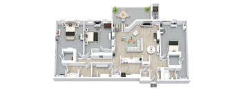 Queen Palm - Renovated