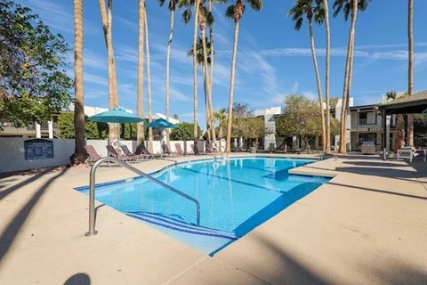 A swimming pool surrounded by palm trees and a blue sky.