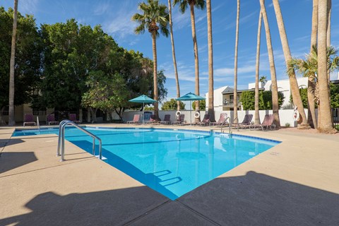 A swimming pool surrounded by palm trees and lounge chairs.