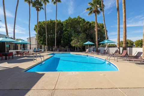 A large swimming pool surrounded by palm trees and lounge chairs.