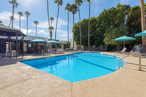 A large swimming pool surrounded by palm trees and lounge chairs.