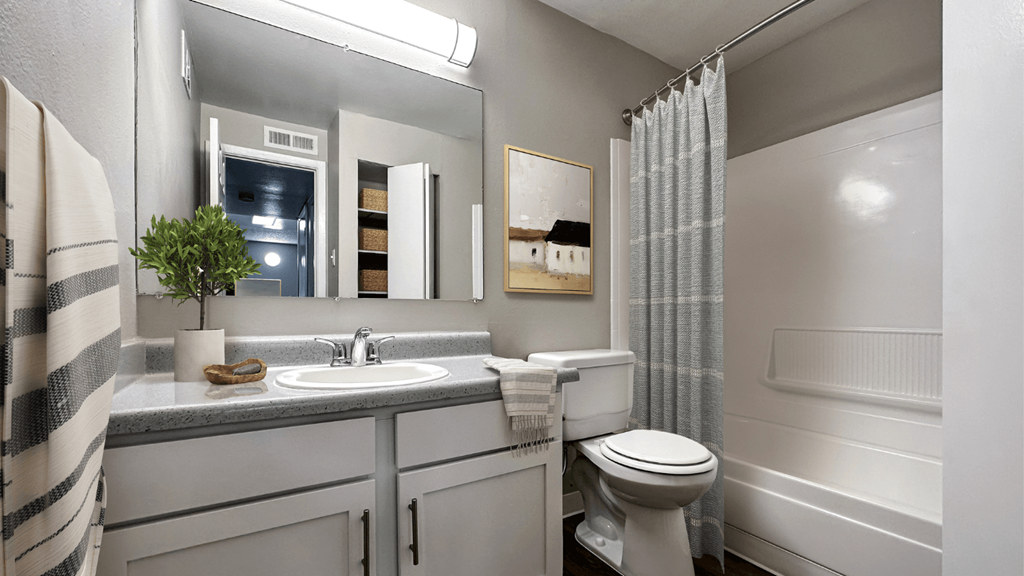 a bathroom with a sink and a toilet and a shower