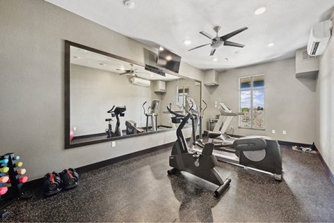 fitness