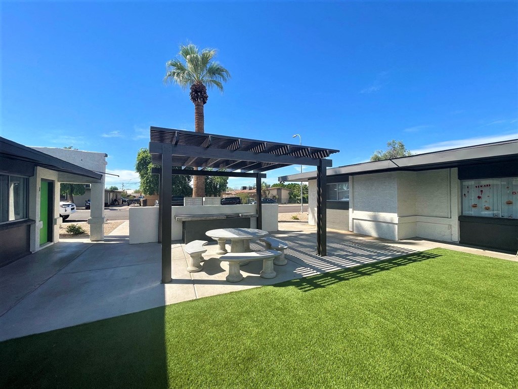 A palm tree stands in a patio area with a table and chairs.