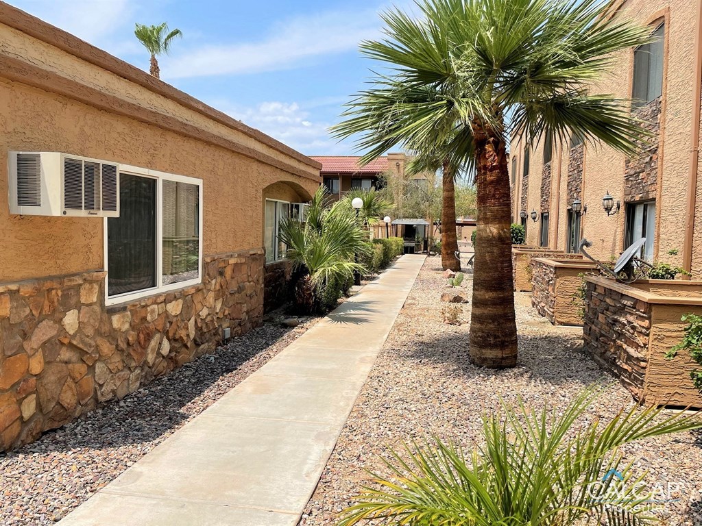 A palm tree stands in the middle of a gravel path between two buildings.