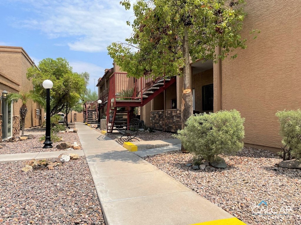 A walkway with a yellow line in front of a building with a tree on the left.