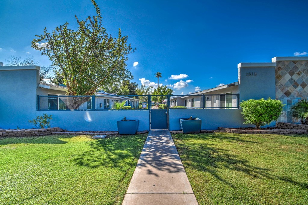 A sunny day at a residential area with houses and a tree.
