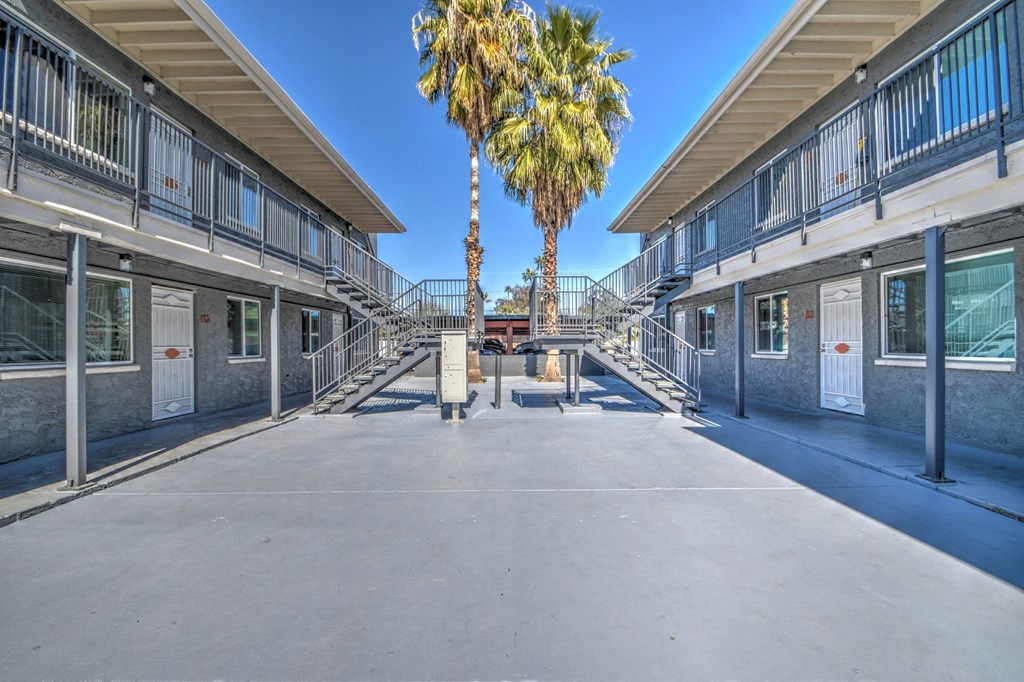 A palm tree stands in the middle of a concrete courtyard between two buildings.