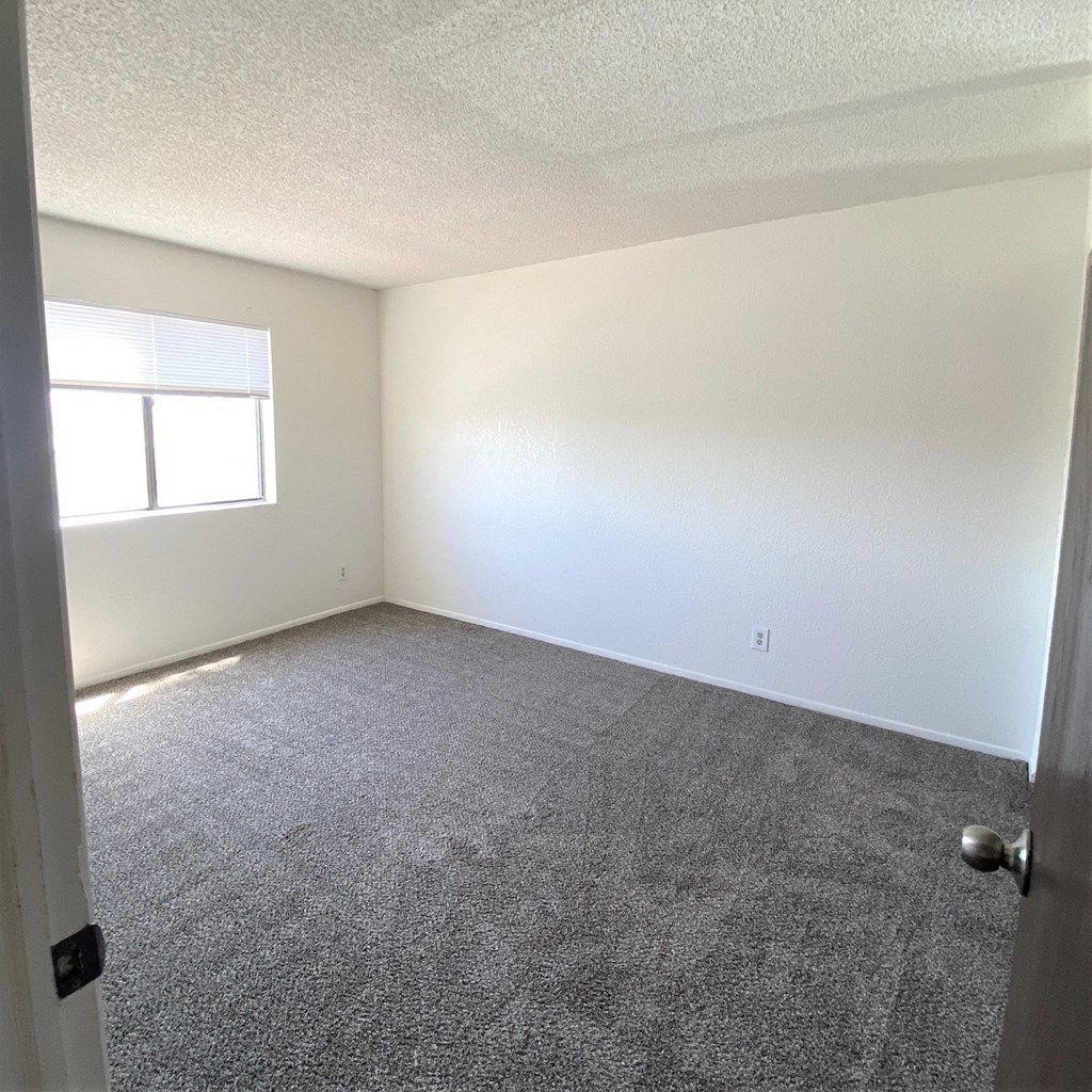 A room with a carpeted floor and a window letting in sunlight.
