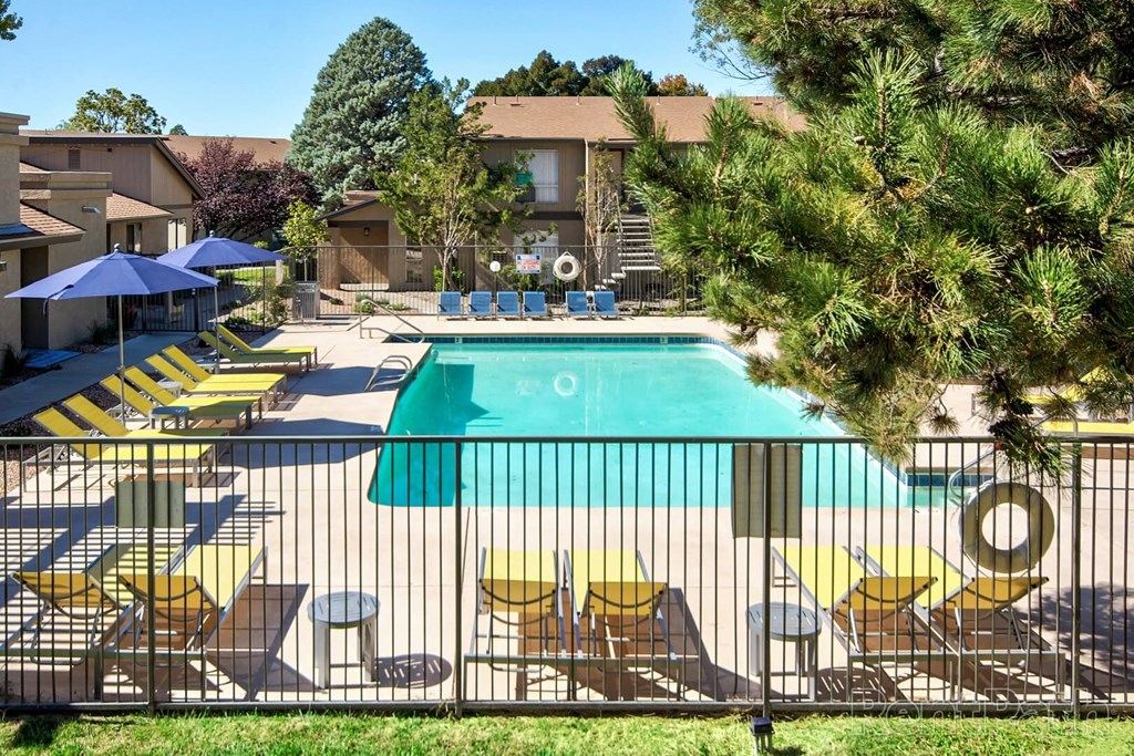 A pool surrounded by chairs and trees with a building in the background.