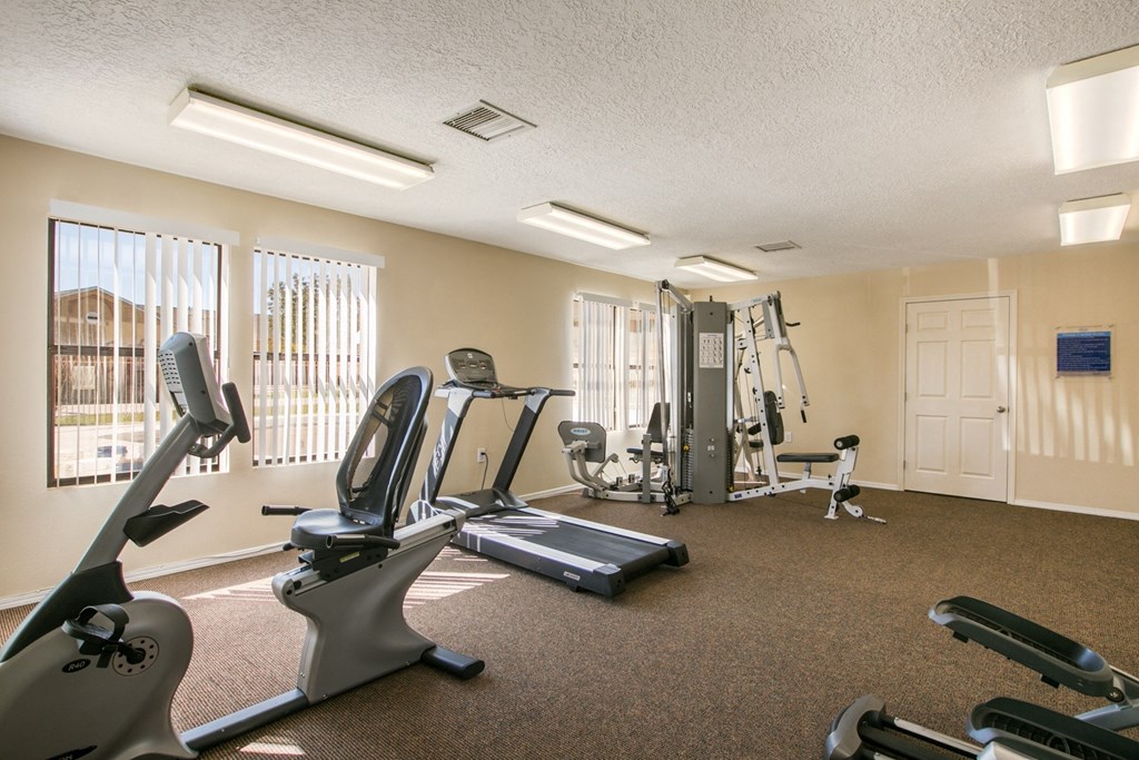 A well-equipped gym with treadmills, elliptical machines, and weights.