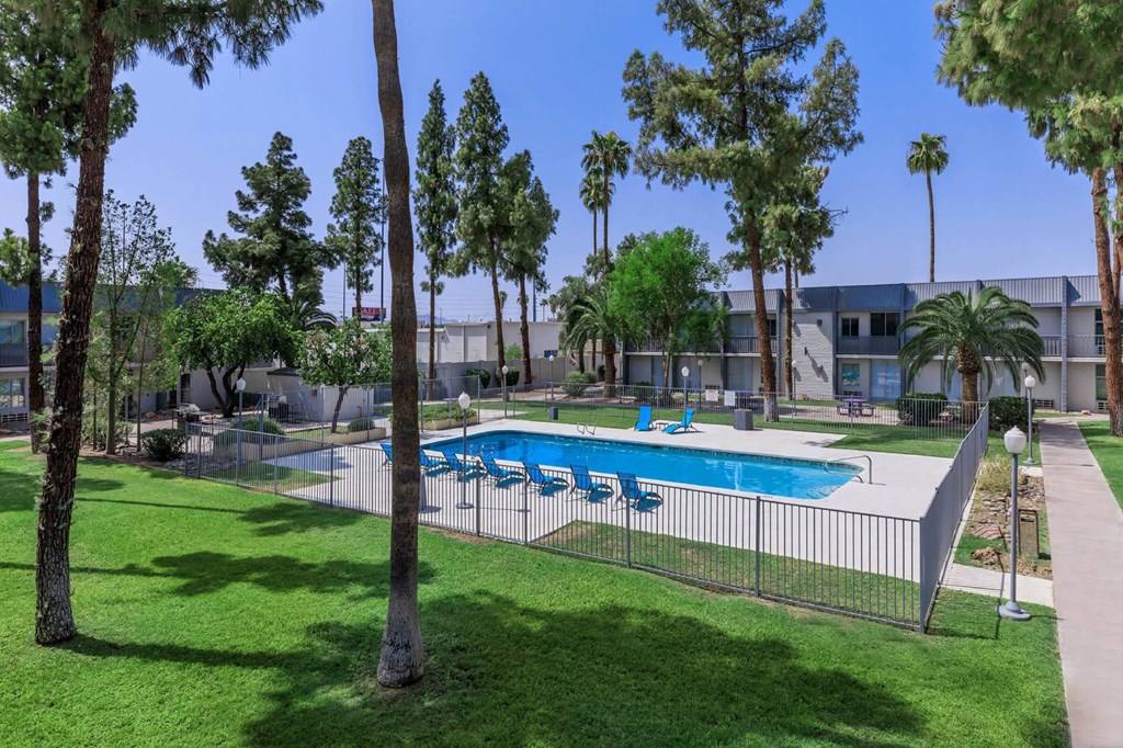 A pool surrounded by trees and a fence.