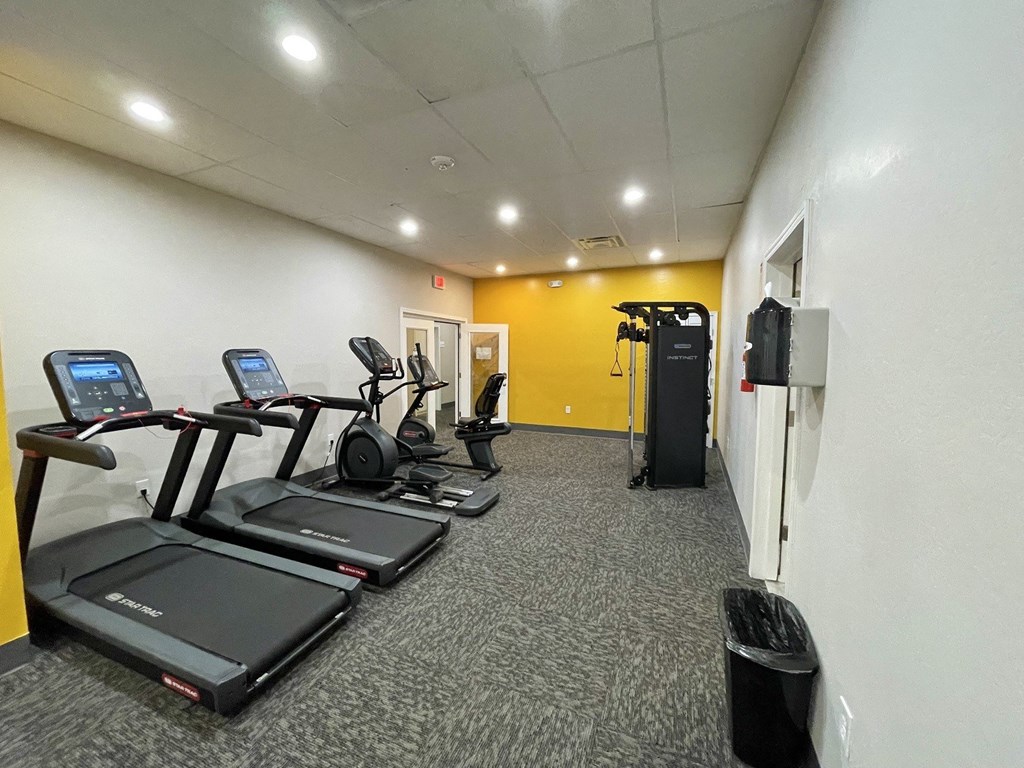 A gym with treadmills, elliptical machines, and a weight rack.
