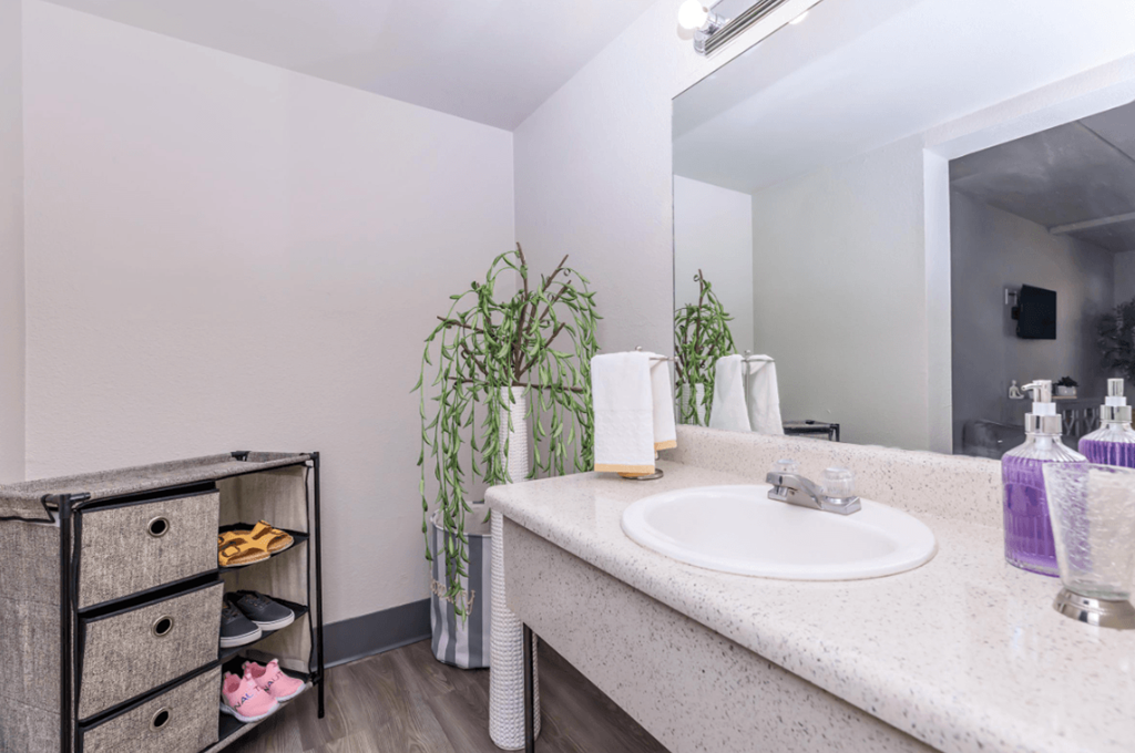 A bathroom with a sink, mirror, and a plant.