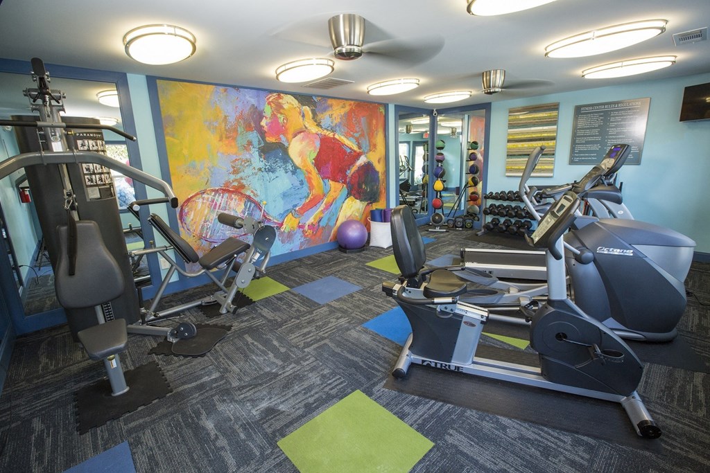 A gym with a rowing machine, a treadmill, and a stationary bike.