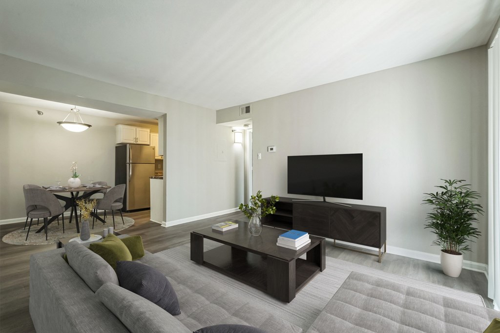 A living room with a grey couch and a television.