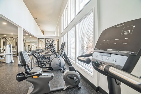 A gym with treadmills, elliptical machines, and other exercise equipment.