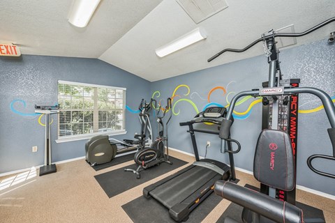 A gym with exercise equipment and a window.