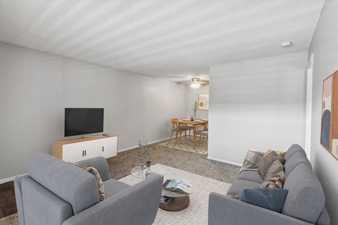 A living room with a grey couch, a coffee table, and a television.