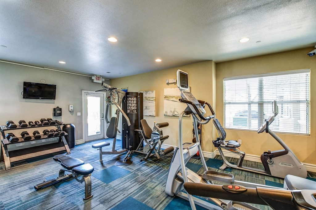 A gym with a row of treadmilers and a row of exercise bikes.