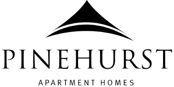 A black screen with a white line in the middle.