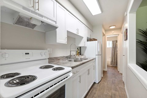 a white kitchen with a stove and a sink