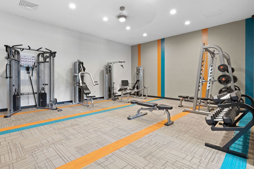 A gym with a variety of equipment including a leg press machine, a chest press machine, a leg curl machine, a leg extension machine, a seated calf raise machine, a seated leg raise machine, a seated leg curl