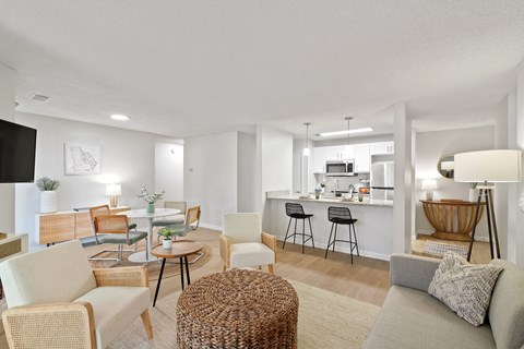 The Palms Apartments