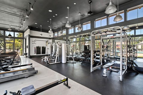 The Palms Apartments