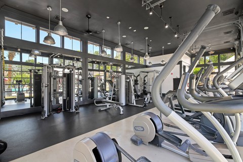 The Palms Apartments