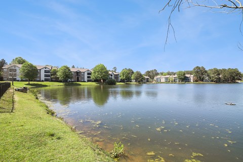 The Palms Apartments