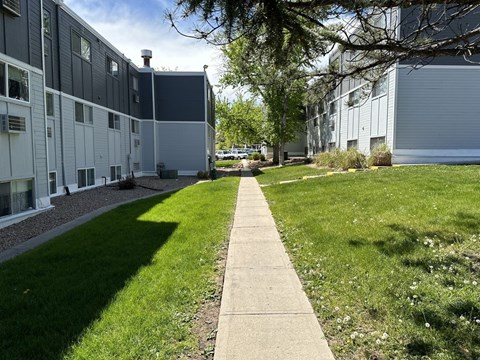 A concrete walkway leads through a grassy area between two buildings.