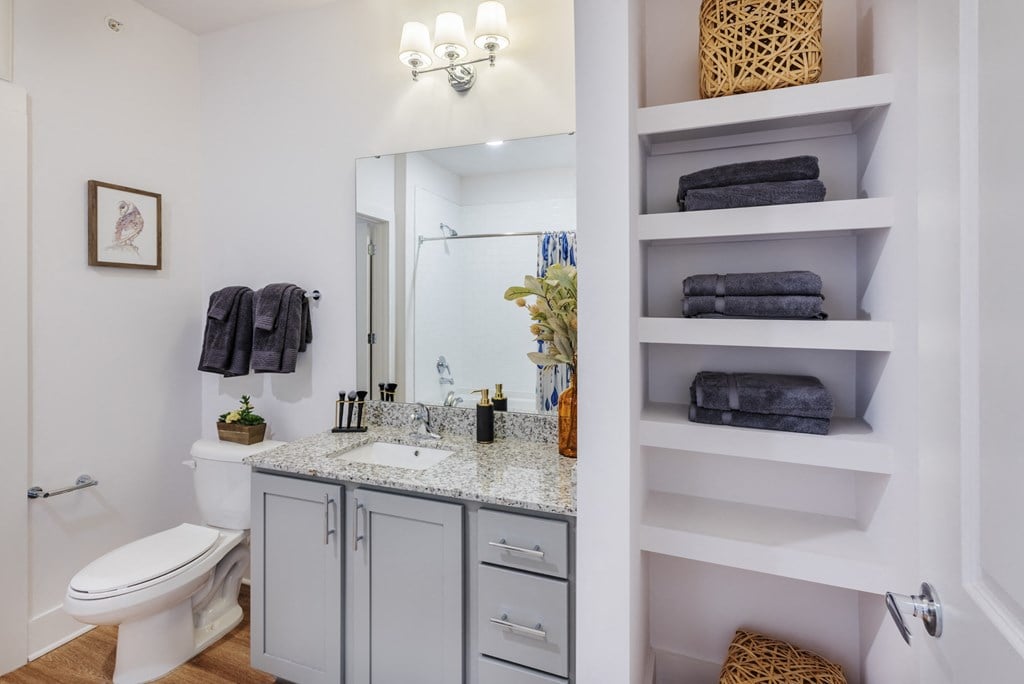 a bathroom with open shelving and a toilet and a sink