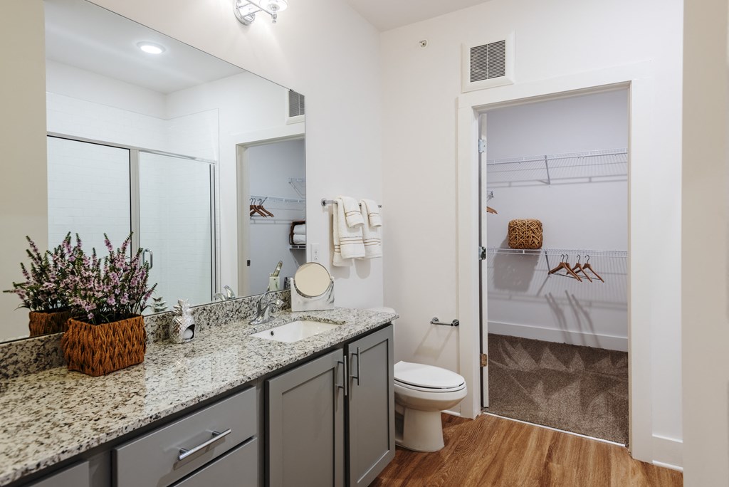 a bathroom with a sink and a toilet and a shower