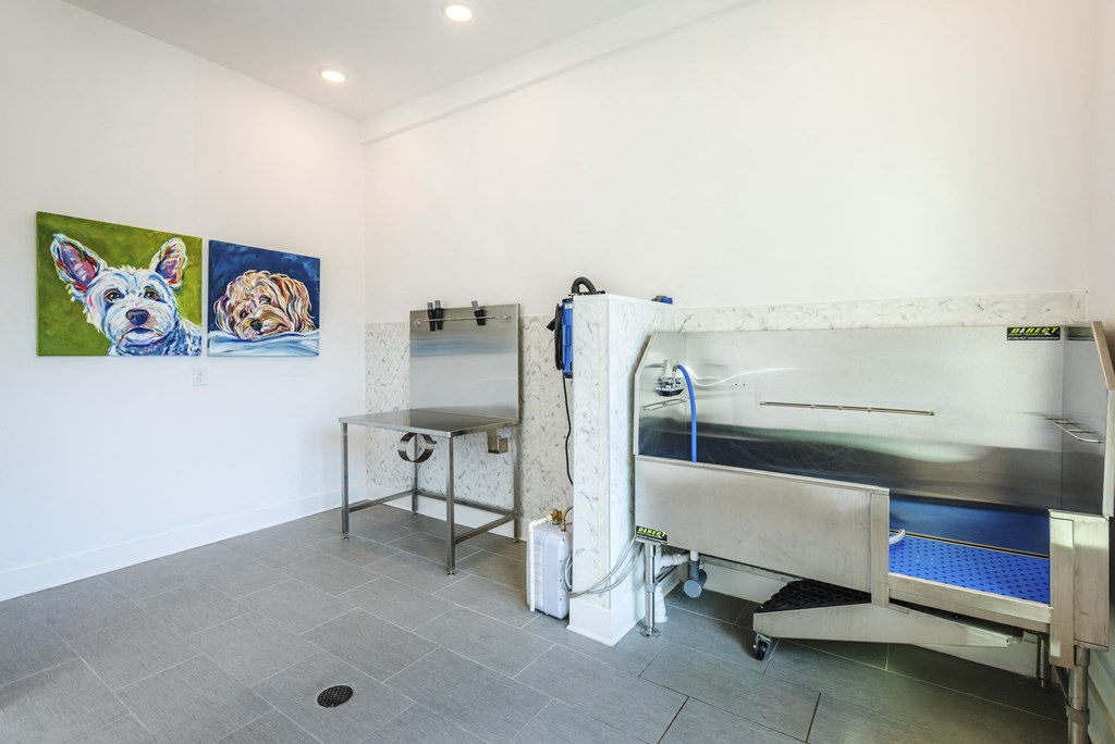 a patient room with a bed and a sink and paintings on the wall