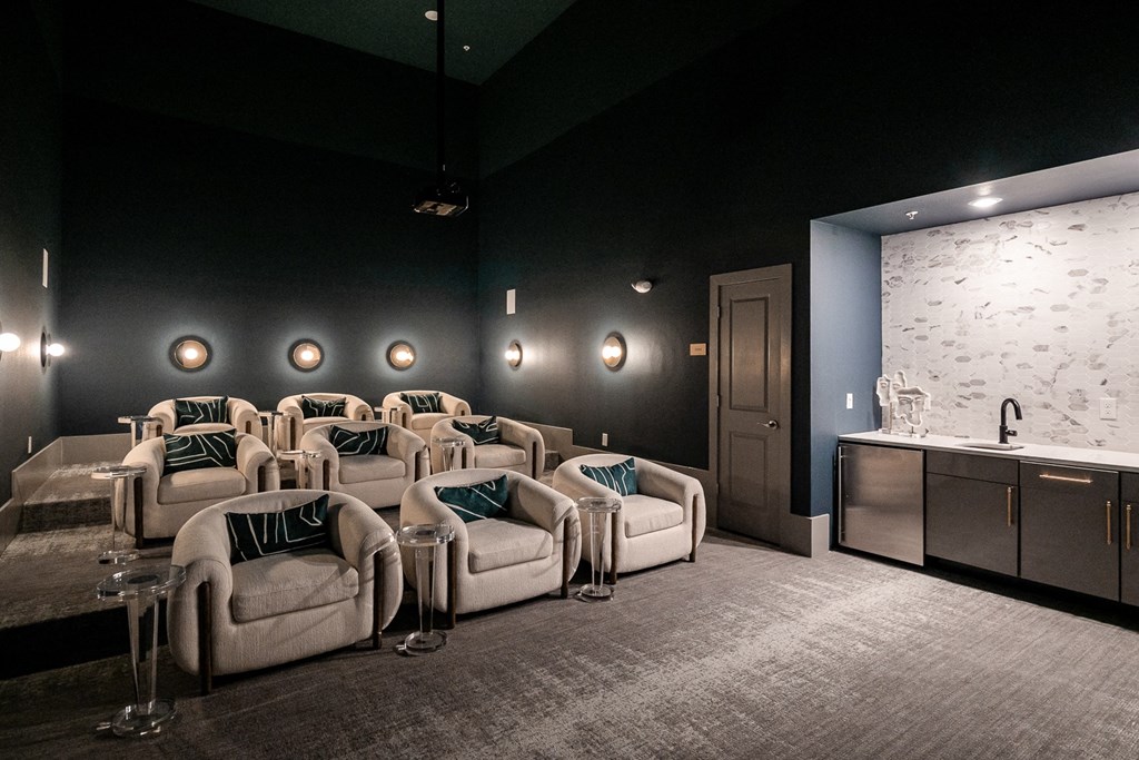 a large screening room with couches and a sink