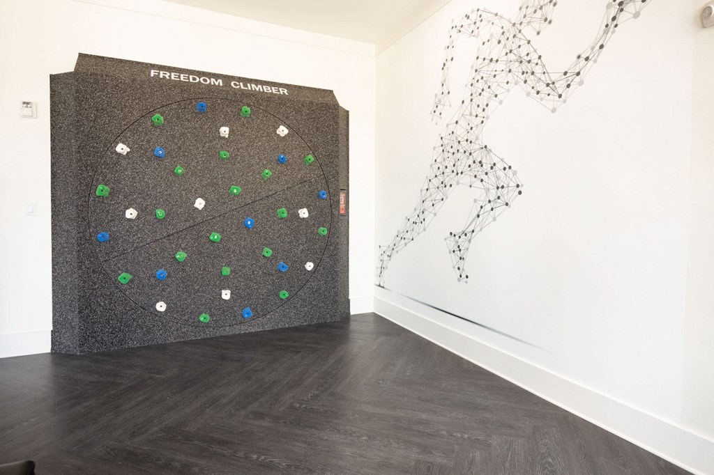 a large exercise ball on the wall in a room