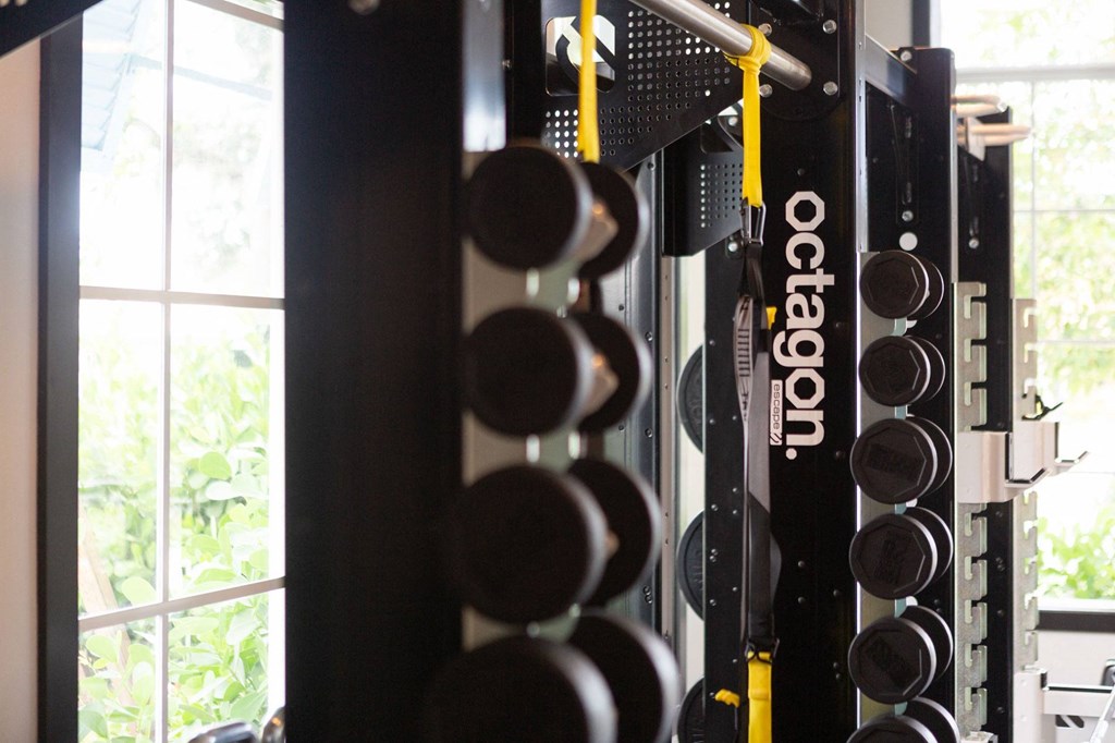 a collection of weights on a rack in a gym
