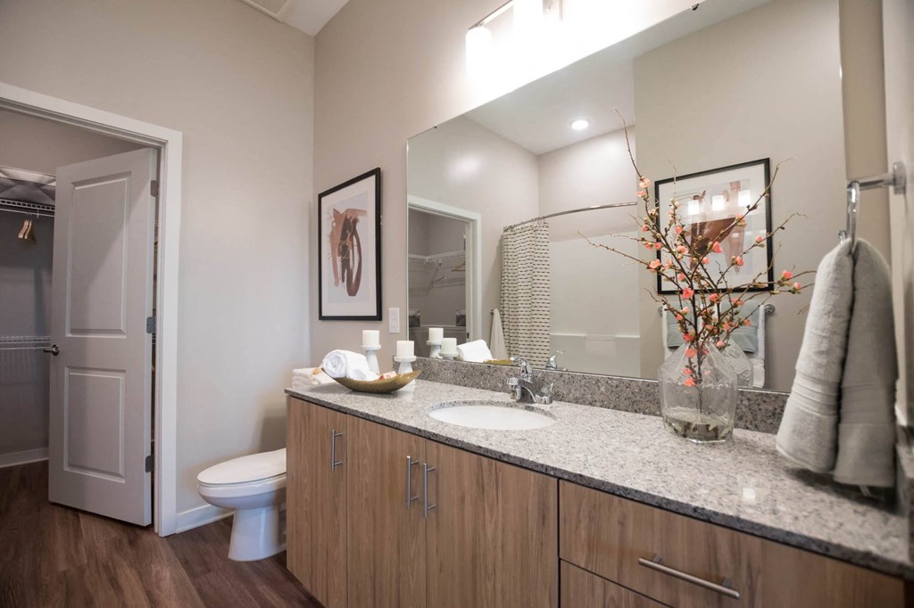 a bathroom with a sink and a toilet and a mirror
