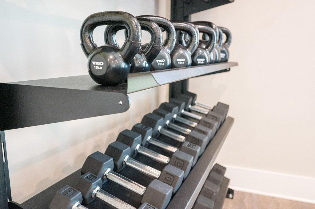 a row of dumbbells on a shelf above a weights rack