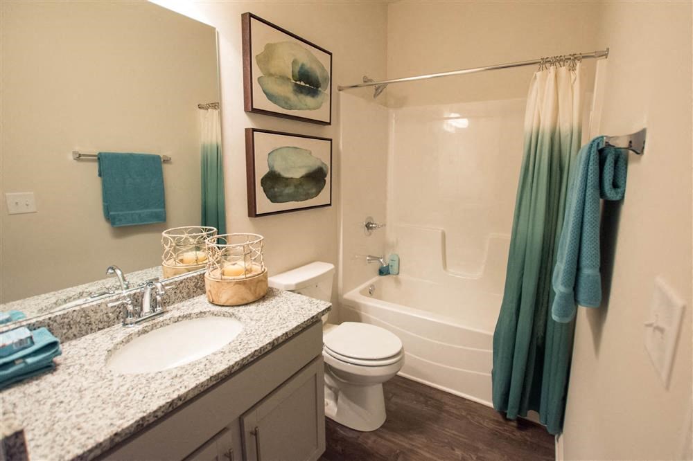 a bathroom with a sink and a toilet and a shower